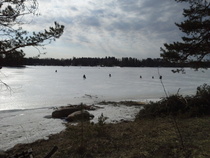 Ilma aurinkoinen pilkkikisoissa  2014